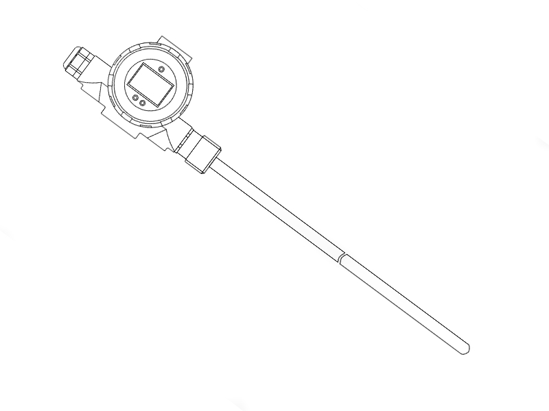 Sonda di Temperatura a Termoresistenza con display
