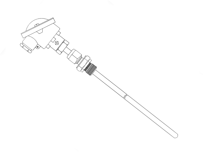 Termoresistenza con testa di connessione