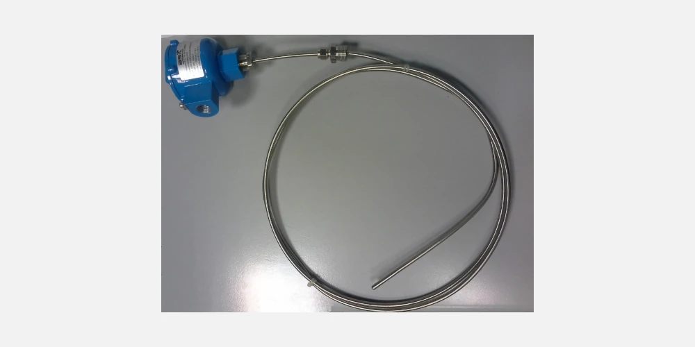 Termoresistenza Pt100 Atex doppia